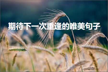 鍏充簬鐖辨儏娓╂殩鐨勫彞瀛愬敮缇庯紙鏂囨611鏉★級